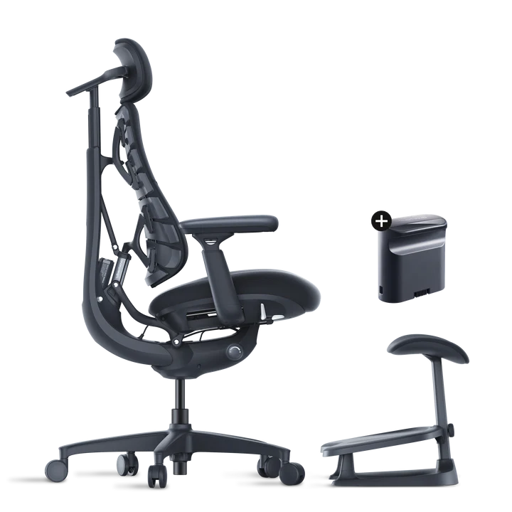 Roomify Dynamic Ergonomic Chair(Pro Bundle)