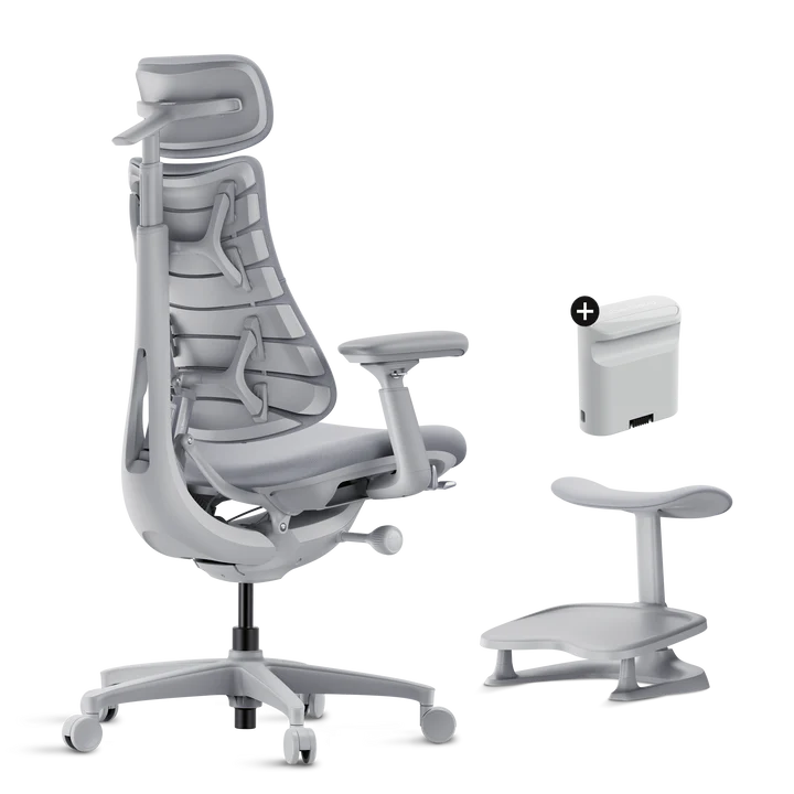 Roomify Dynamic Ergonomic Chair(Pro Bundle)