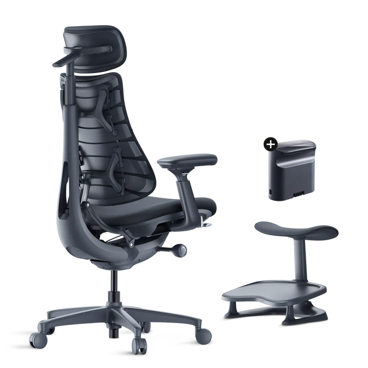 Roomify Dynamic Ergonomic Chair(Pro Bundle)