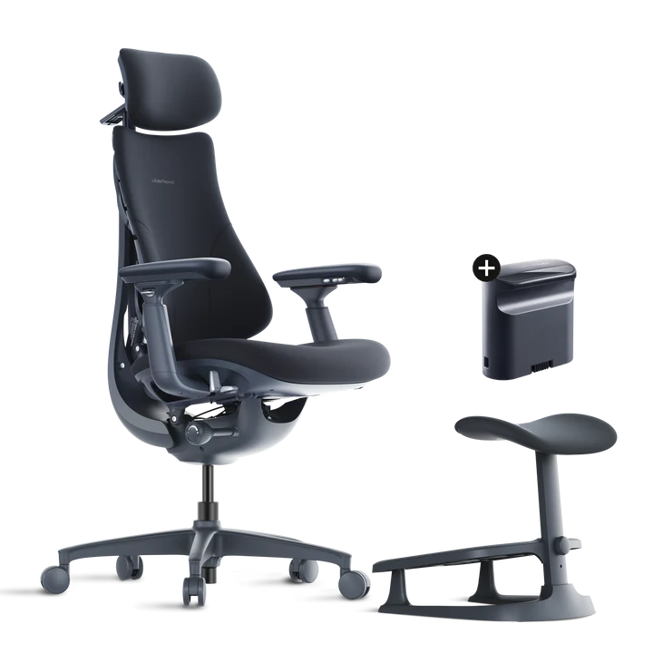 Roomify Dynamic Ergonomic Chair(Pro Bundle)