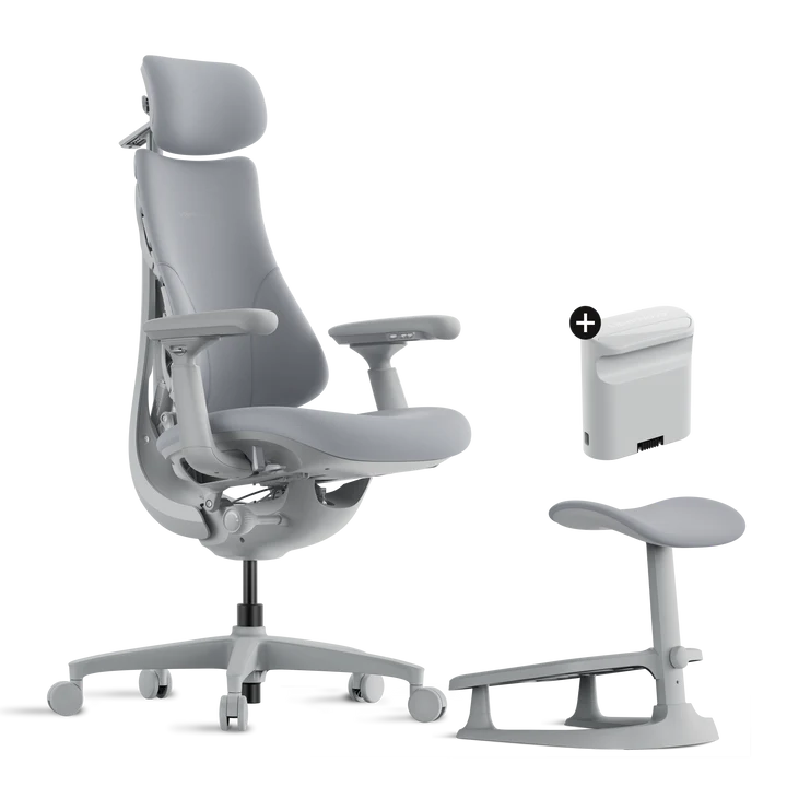 Roomify Dynamic Ergonomic Chair(Pro Bundle)